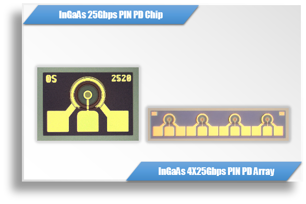 InGaAs 25G /100G PIN PD Chip & 1XN Array